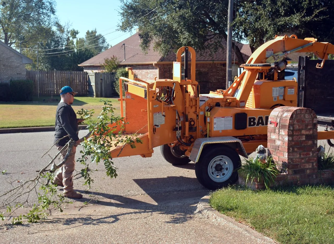 Tree Service
